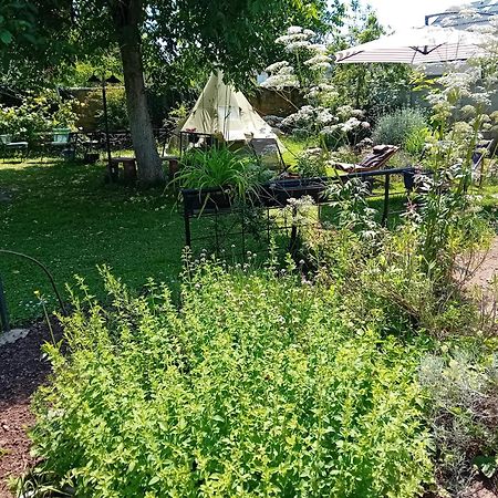 Indian Tent Tipi In Shared Lot And Shared Bathroom Mrse Exterior photo
